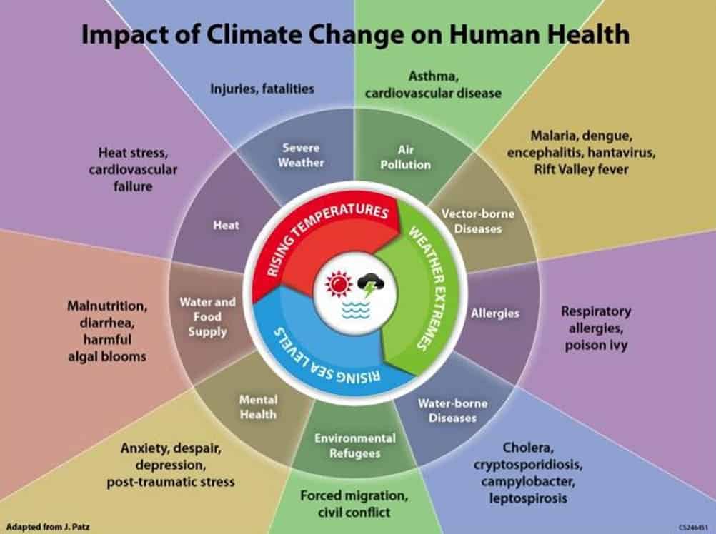 Chart showing the impact of climate change on human health
