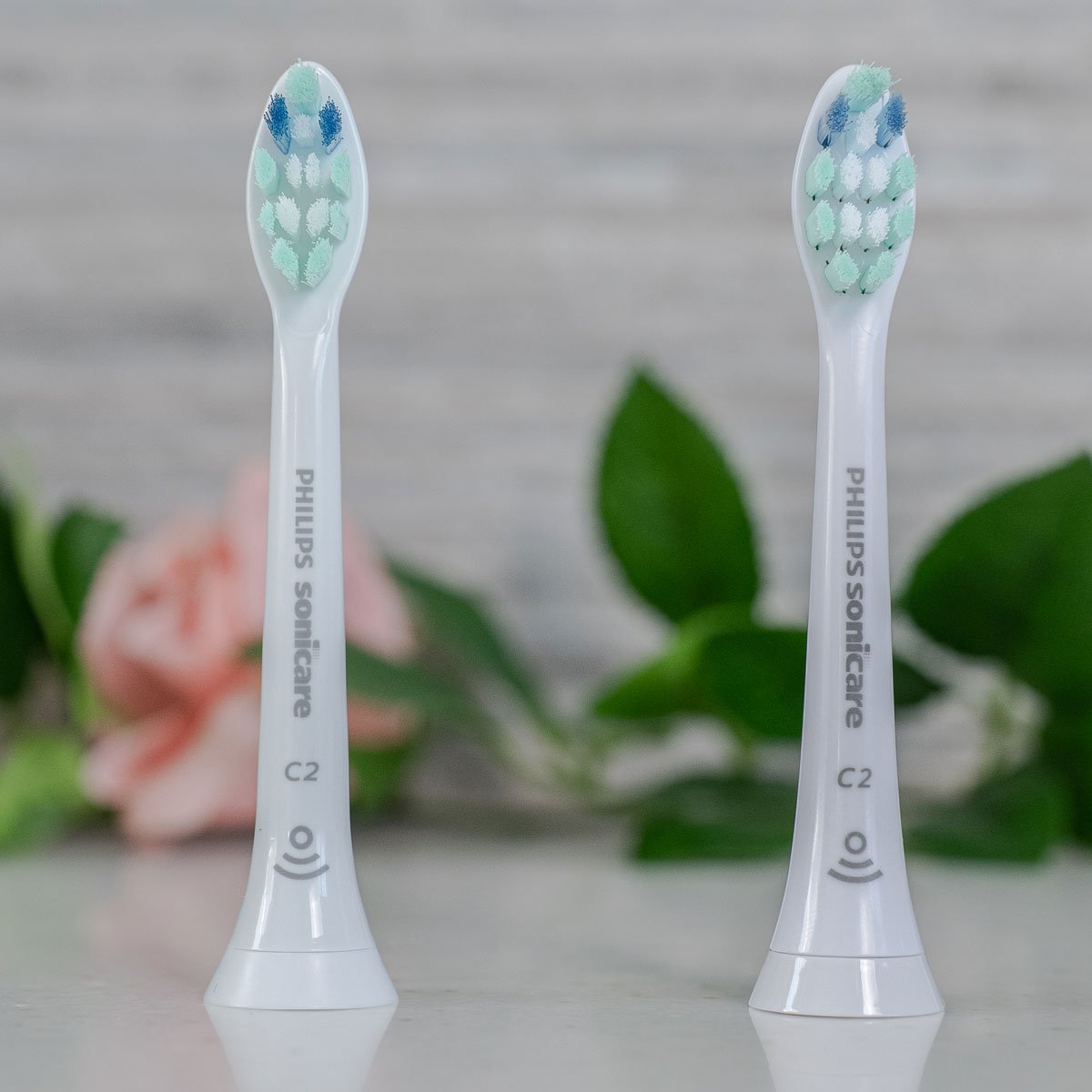 Real vs fake Sonicare brush head looking at the brush from the front.