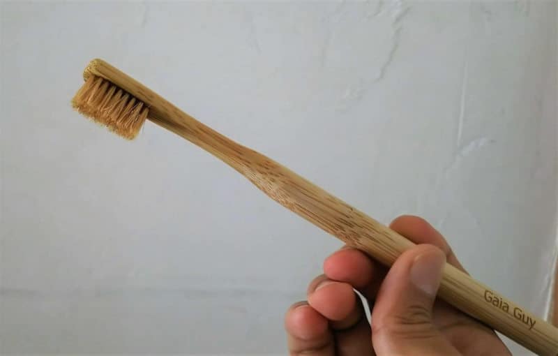 Gaia guy toothbrush