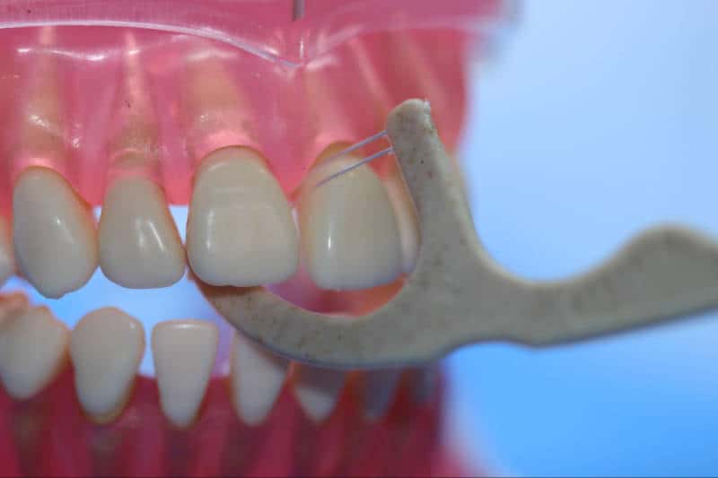 Floss pick being used on model teeth