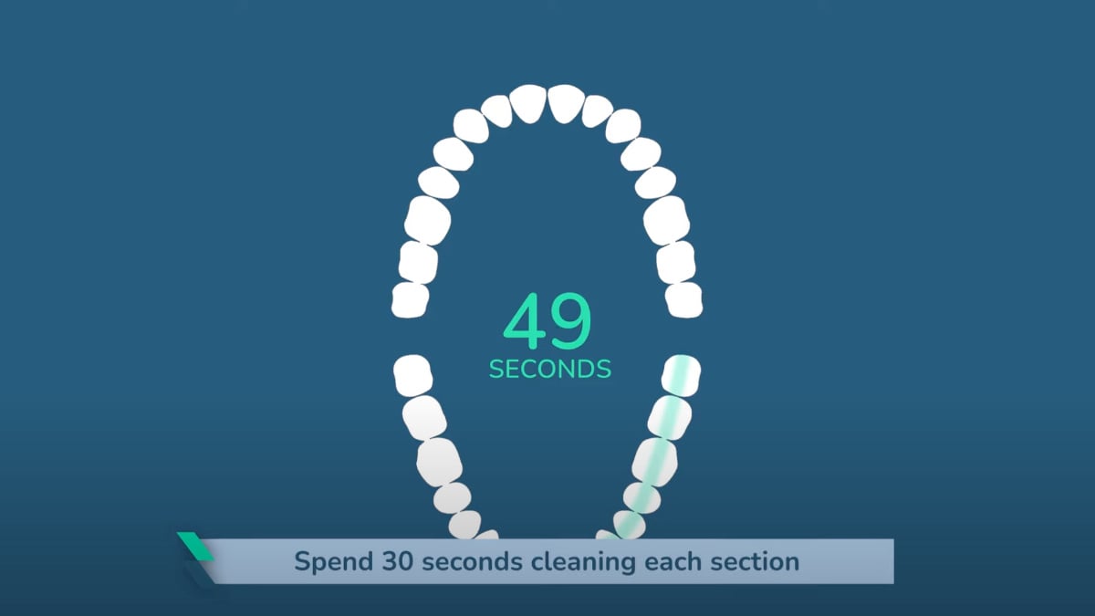 Mouth split into quadrants for cleaning