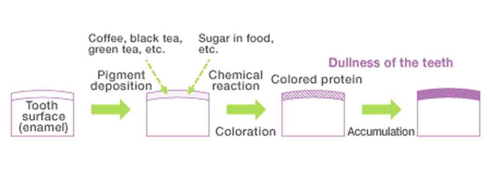 Chart showing how staining occurs