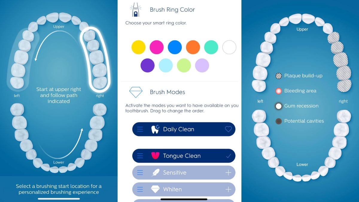 Sonicare vs Oral-B: 2025 head-to-head 8